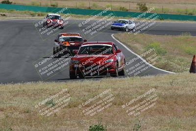 media/May-04-2024-Lucky Dog Racing (Sat) [[d39539b3f3]]/Race Pics/1015am (Turn 2)/